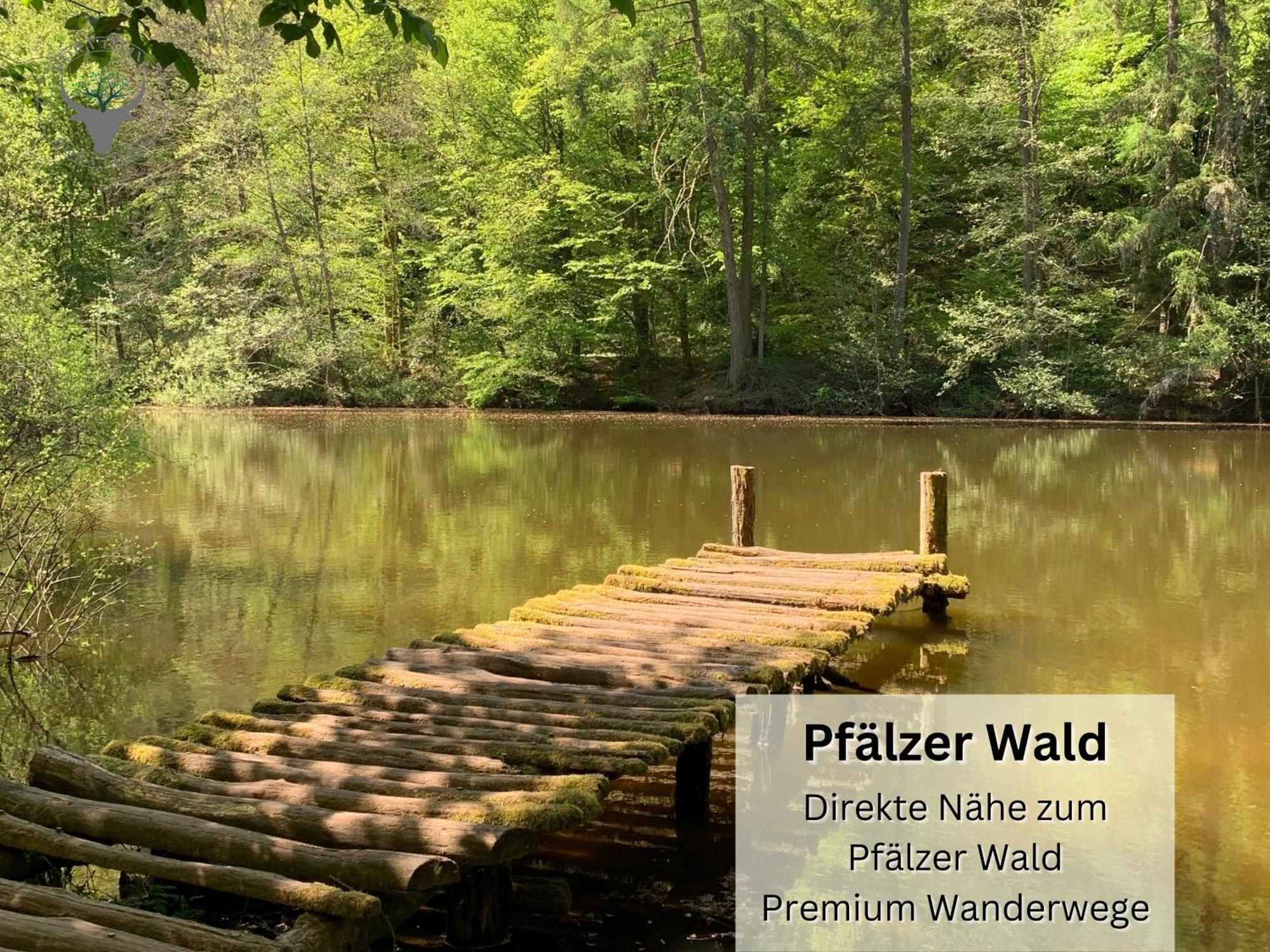 Schuhpartment Am Pfaelzer Wald Naehe Outlet Center Zweibruecken Apartment Pirmasens Exterior foto